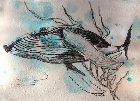 Drawing & Painting Workshop – Ocean Animals