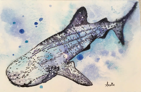 Drawing & Painting Workshop – Ocean Animals