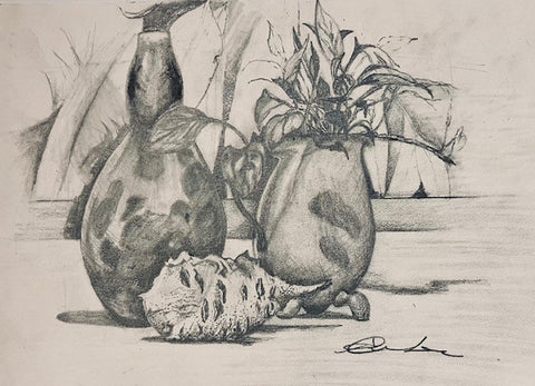 Six Week Fundamentals of Drawing